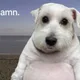 침착