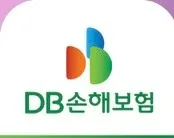 DB손보