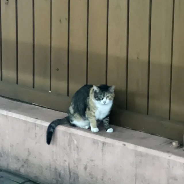 coco