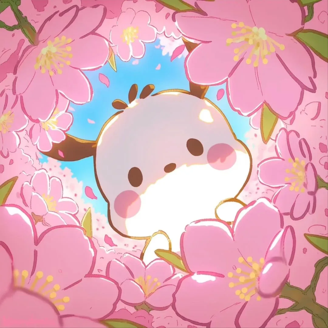 포차코