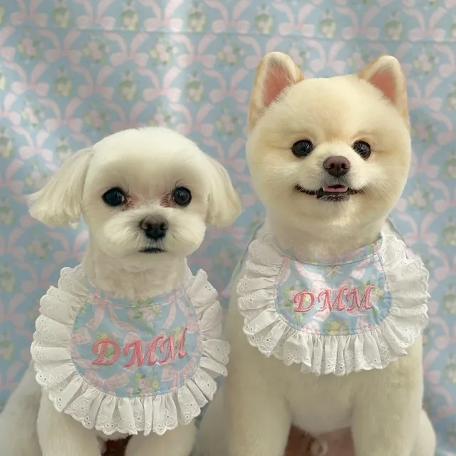 망고와윤똥