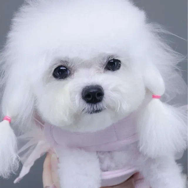 빵먹는토끼