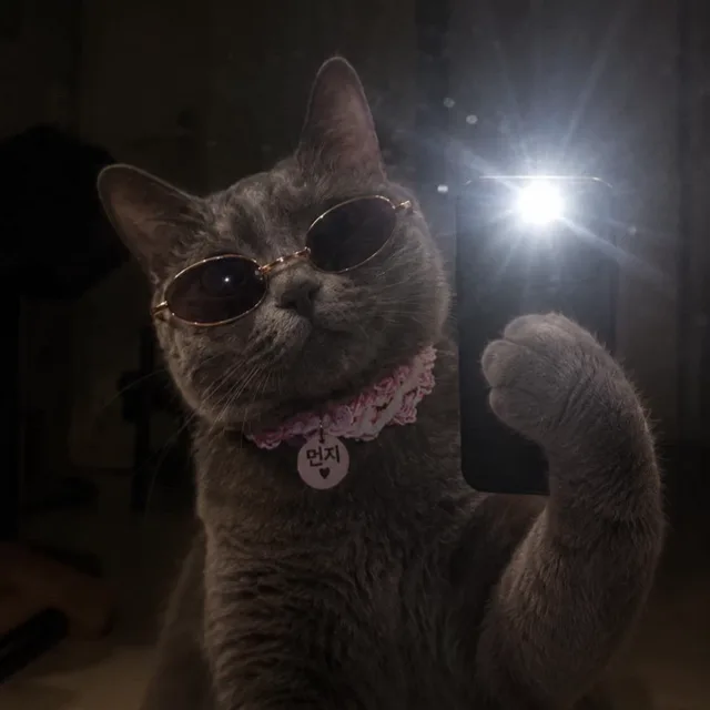 가을이
