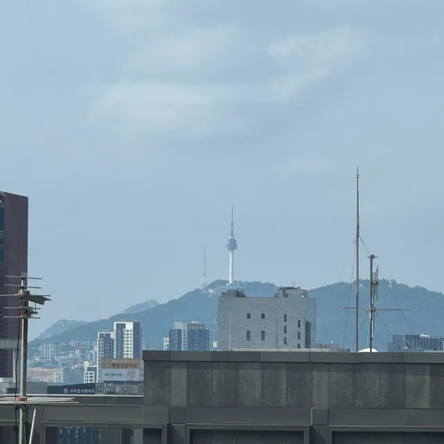 니스
