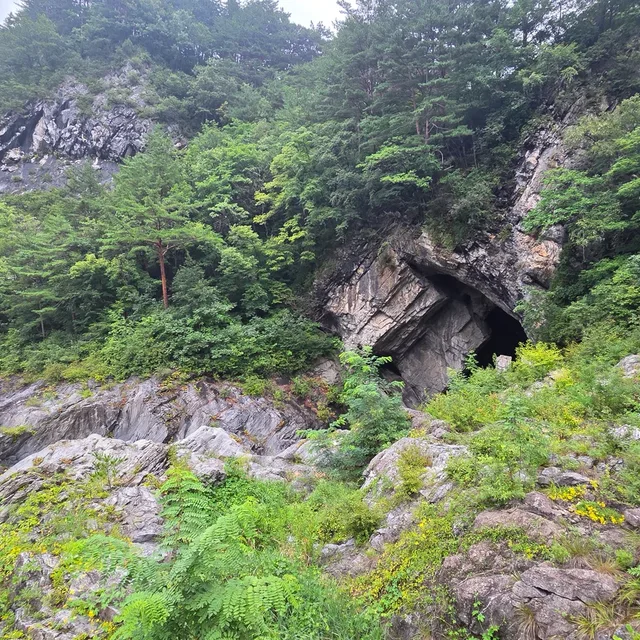 풍덩