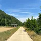 로로니