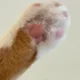 히히희망