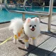강민
