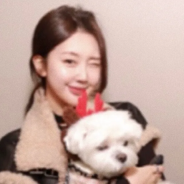 땅누