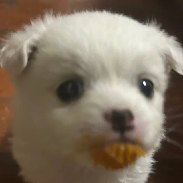 앙버터