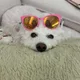 행복