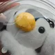 흰둥이