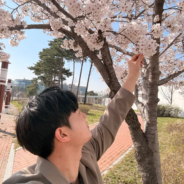 푸딩곰