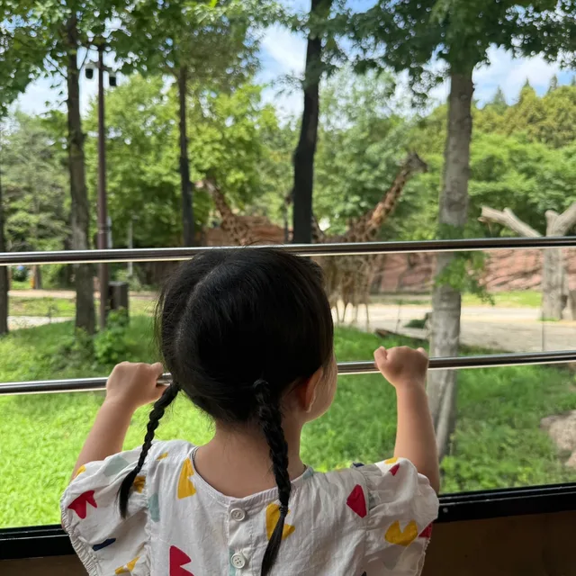 행복한짹짹이