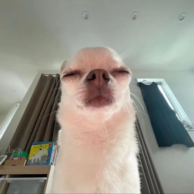 아둥바둥