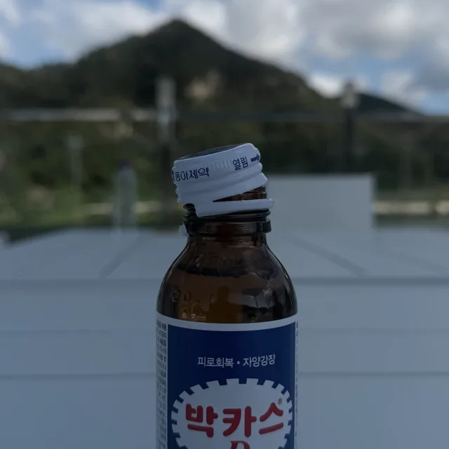 박카스