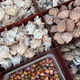 먀옹