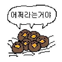 너구리