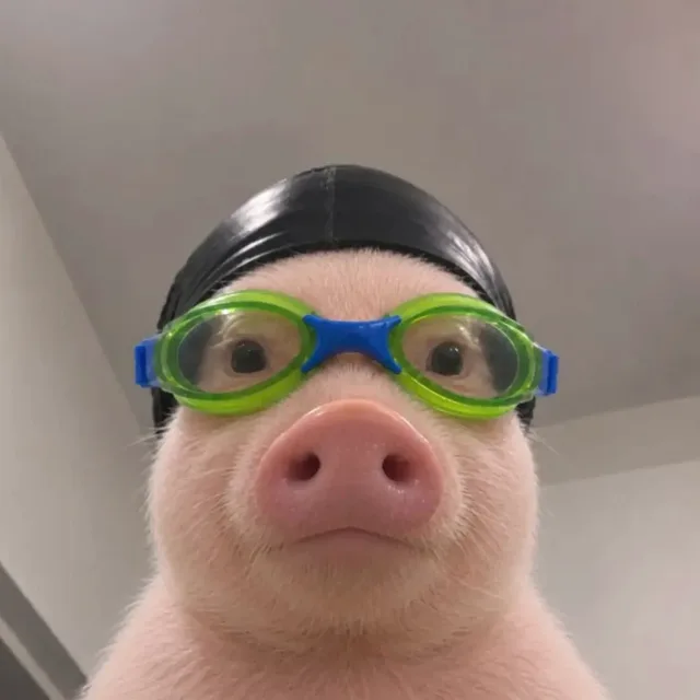 로롱