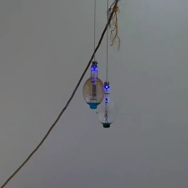 브라질리언언박싱