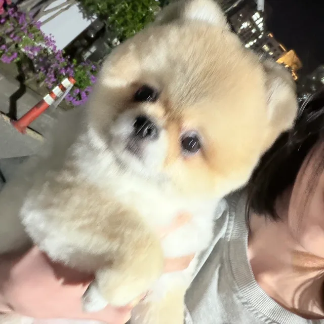 공백