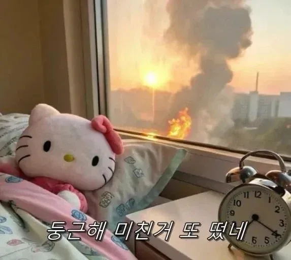 슈비리두밥