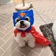 쨩가맘