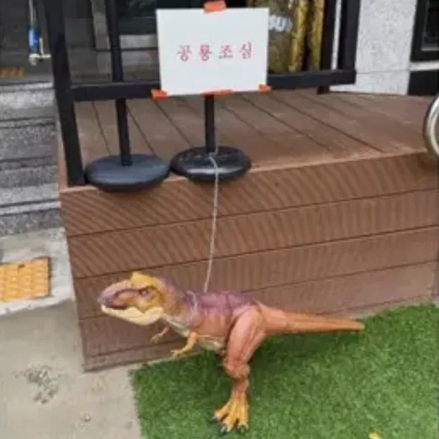 티라노11