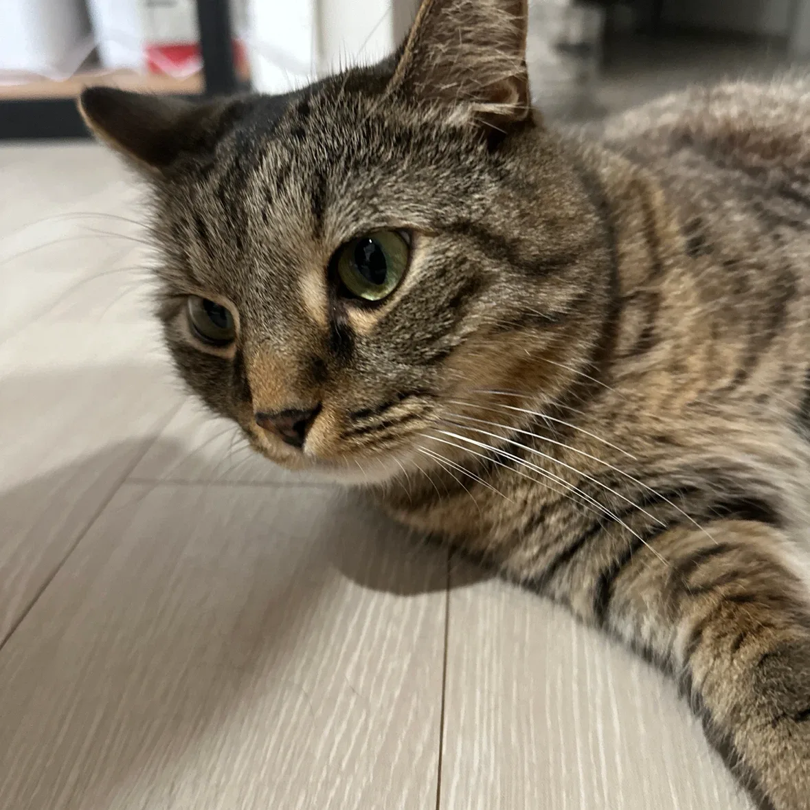 애플파이2