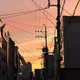 푸티