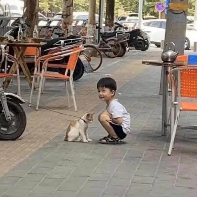 냥냥이