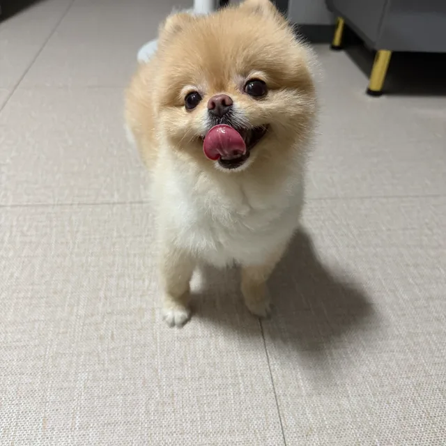 취향