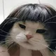 신세계