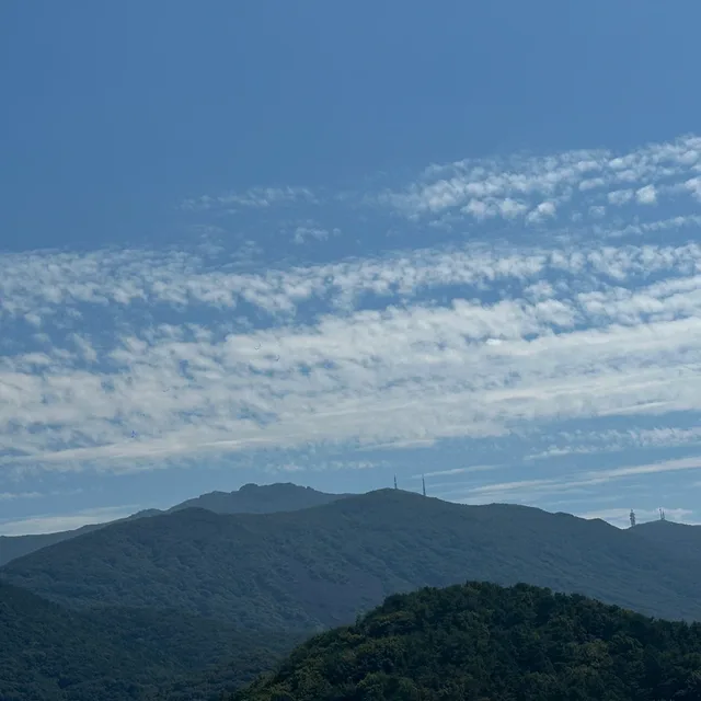 노마드