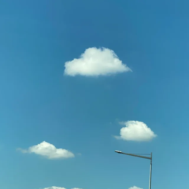 멍멍