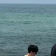 파푸리카