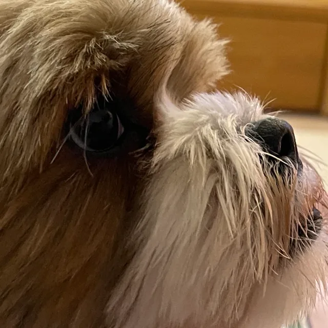 profile