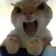 대충사는냥