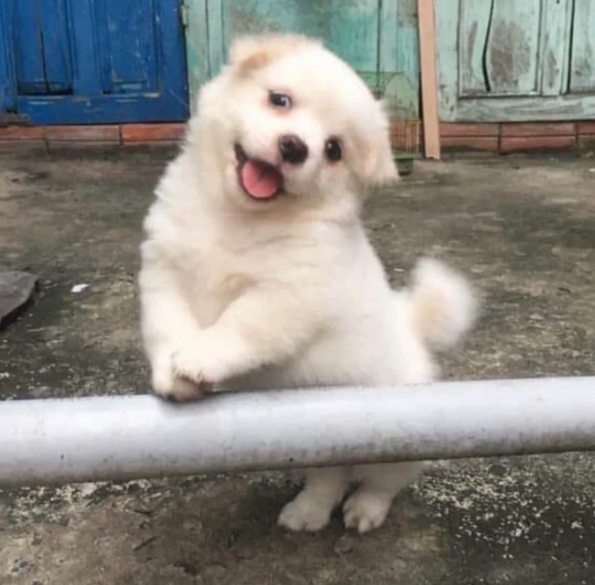 듀서