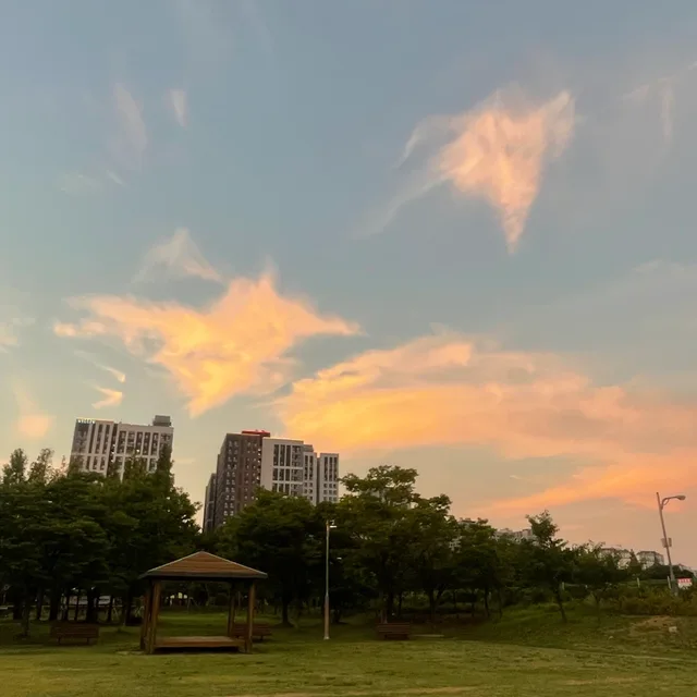 시금치입니다