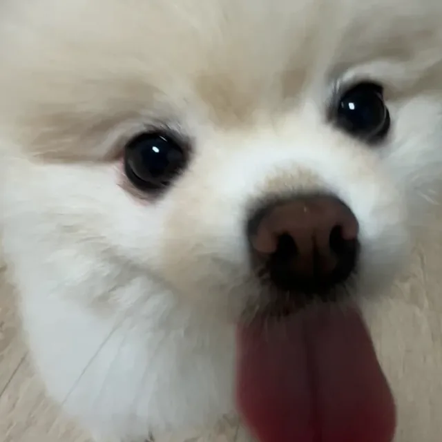 나나나
