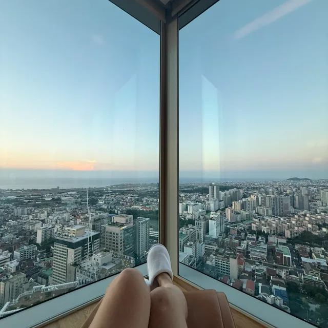 콩콩이