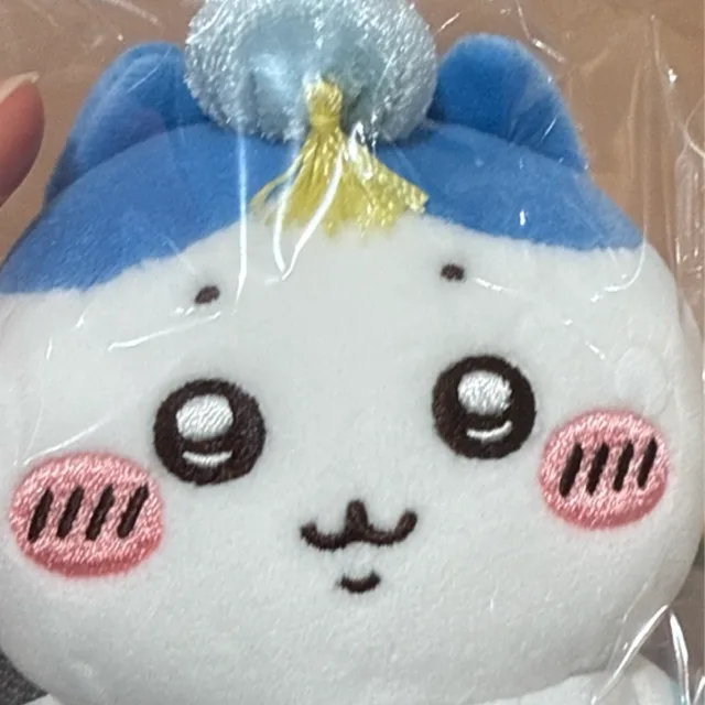 고사리