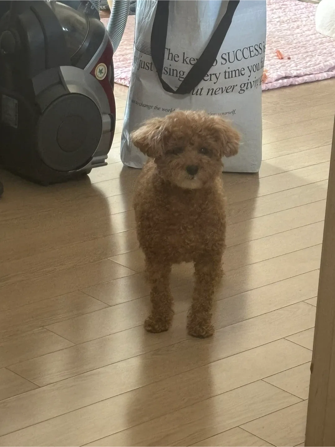 우산동