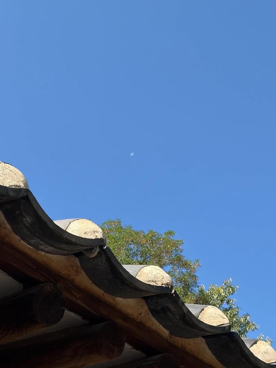 오하루