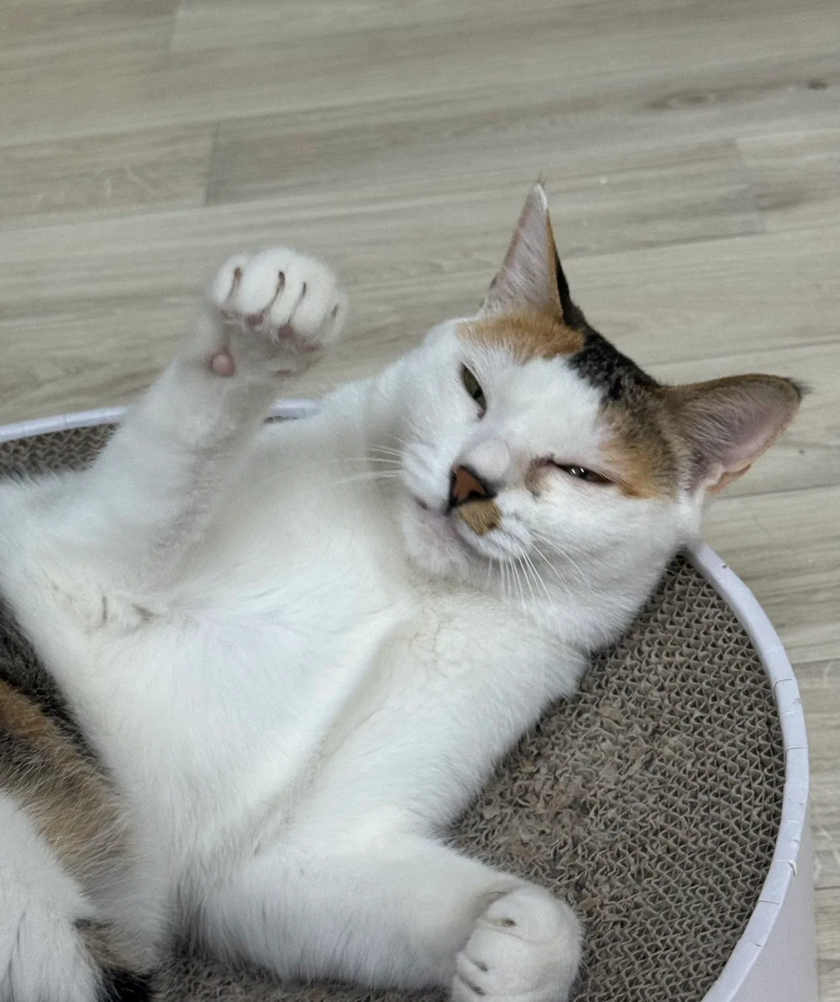 쉬지마이씨