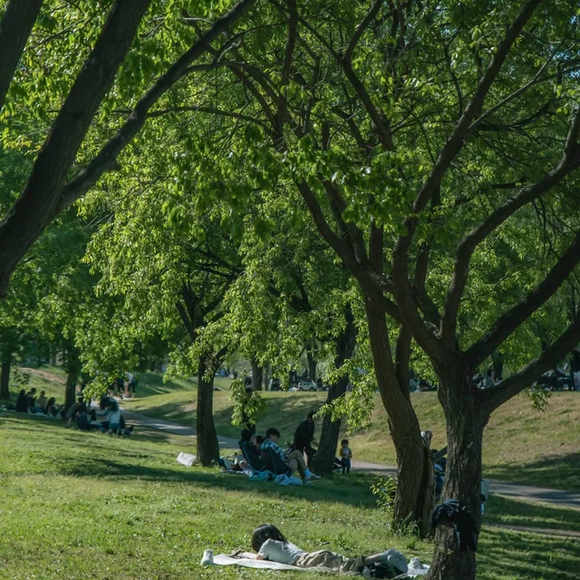 profile