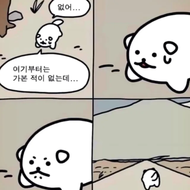 모아