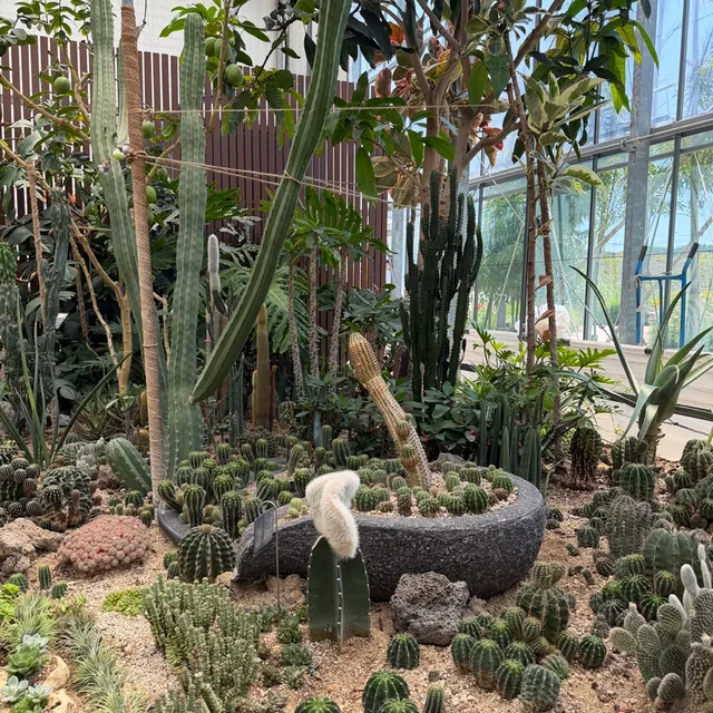 매너사회
