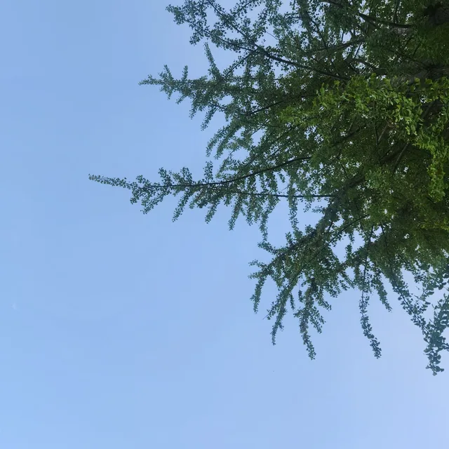 달리는말